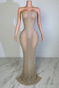 Yembi Fashion silver rhinestone maxi dress with strapless neckline, sheer nude illusion mesh, and dense vertical lines of silver crystals and pearls