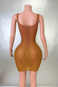 Rhinestone Mini Dress – Stretch Mesh Bodycon Evening Party Dress