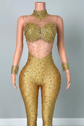 Diamond Mesh Bodysuit