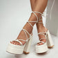 Double Platform Heels – Ultra High Block Heels for Bold Glamour