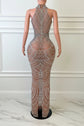 ManneqYembi Fashion silver rhinestone maxi dress with high neck choker collar, plunging cutout bodice, draped chest chains, and sheer nude illusion meshuin wearing a sparkling jumpsuit in front of a decorative mirror.