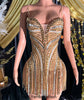 ROSA DIAMANTE DRESS
